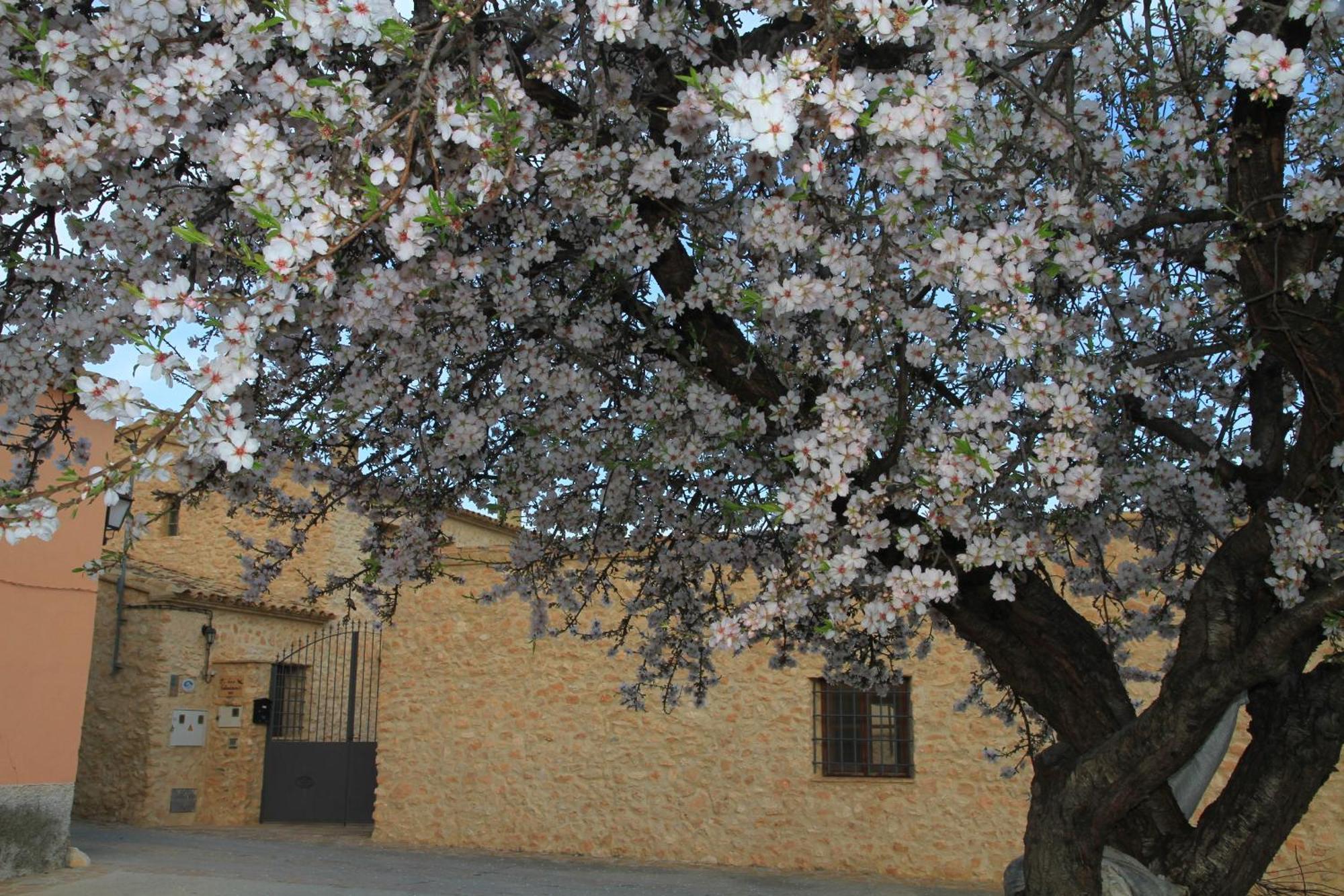 Alojamientos Rurales Cortijo Las Golondrinas Alhama de Murcia Exterior photo
