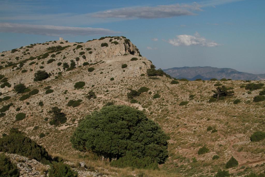 Alojamientos Rurales Cortijo Las Golondrinas Alhama de Murcia Exterior photo
