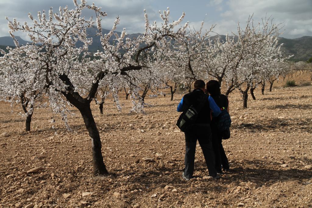 Alojamientos Rurales Cortijo Las Golondrinas Alhama de Murcia Exterior photo